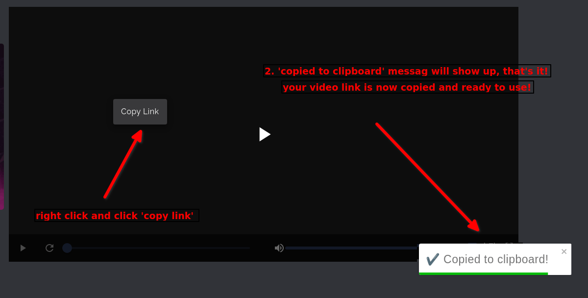 Q-Blog Copying Video Links